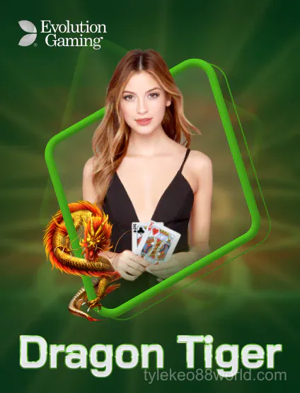 Evolution Dragon Tiger